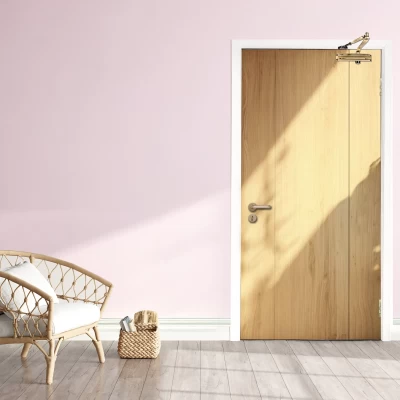 door hardware 46